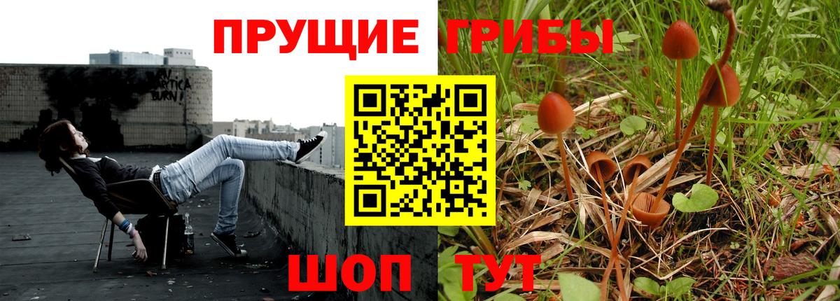 Псилоцибиновые грибы мухоморы Моршанск