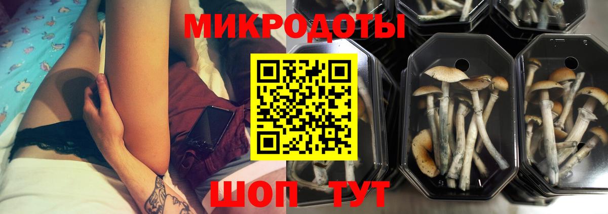 Галлюциногенные грибы Cubensis  Вход с VPN  Моршанск  Псилоцибиновые грибы Psilocybe 